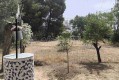 Foto24
