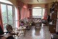 Foto5
