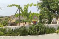 Foto34