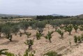 Foto35