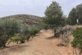 Foto36