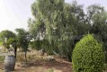 Foto36