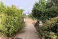 Foto37