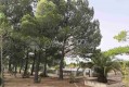 Foto39