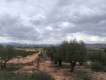 Foto2