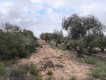 Foto4
