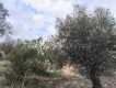 Foto5