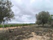 Foto6