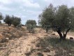 Foto8