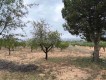 Foto9