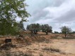 Foto12