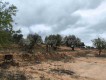 Foto13