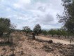 Foto16