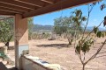Foto3