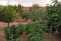 Foto15
