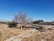 Foto31