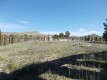 Foto35