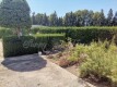 Foto33