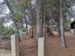 Foto15