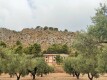 Foto3