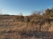Foto12