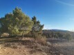 Foto16