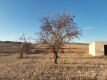 Foto9