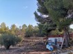 Foto19