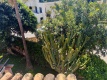 Foto54