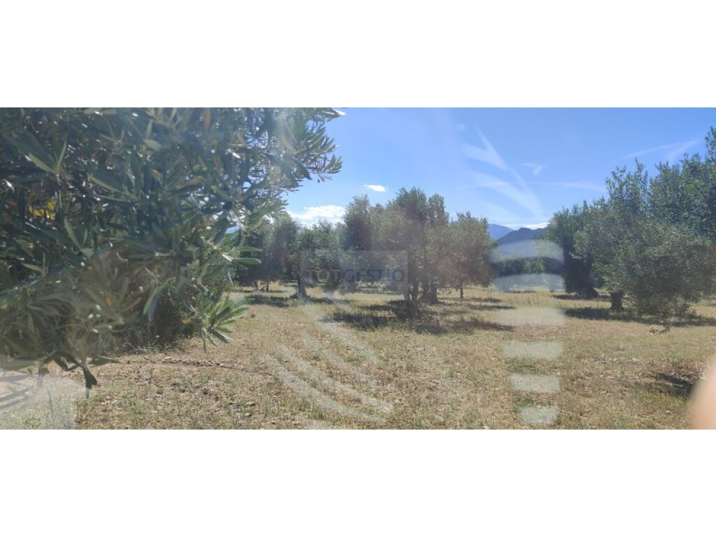 Foto parcela en venta en cantallops girona
