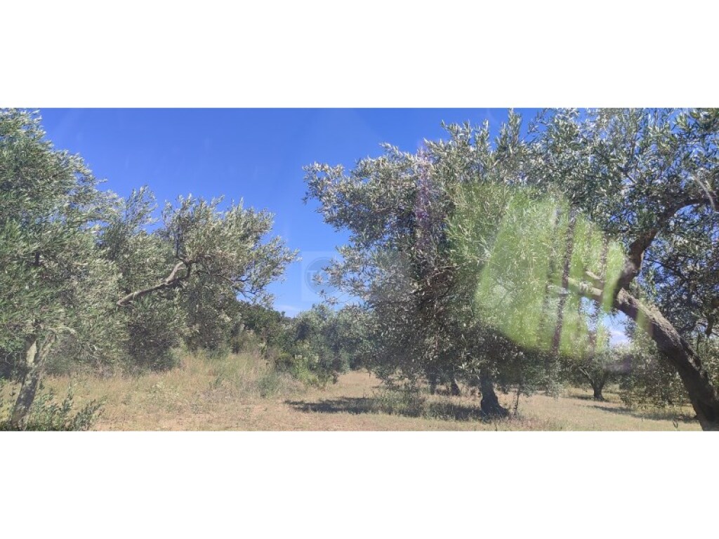parcela en venta en cantallops girona foto grande (2)