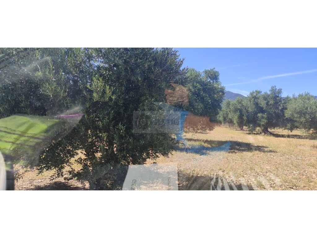Foto parcela en venta en cantallops girona