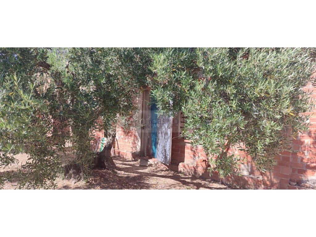 parcela en venta en cantallops girona foto grande (2)