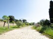 Foto11