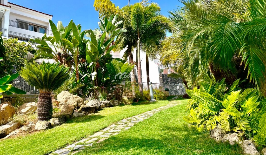 apartamento en venta en adeje santa cruz de tenerife foto grande (3)