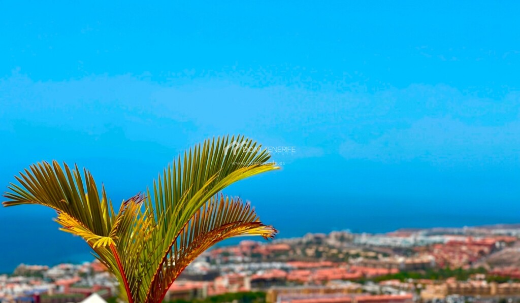 Foto Apartamento en Venta en Adeje, Santa Cruz de Tenerife - € 420.000 - mil1055756 - BienesOnLine