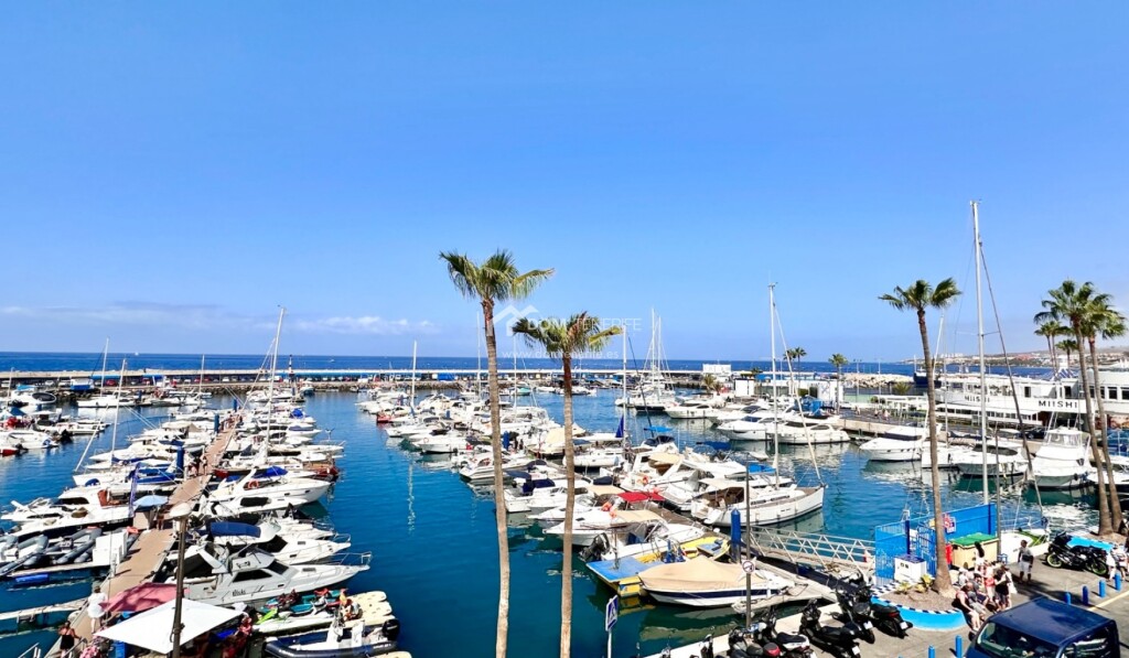 apartamento en venta en adeje santa cruz de tenerife foto grande (2)