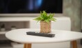 Foto12