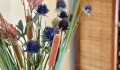 Foto15