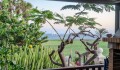 Foto17
