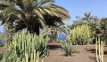 Foto48