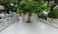 Foto6