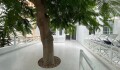 Foto8