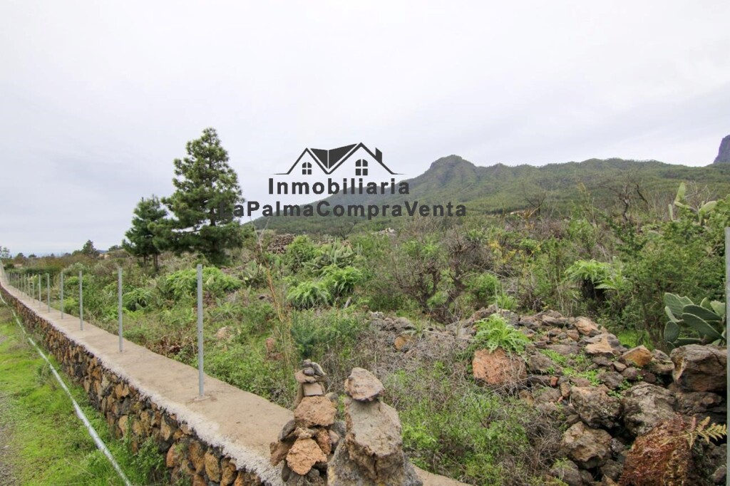 solar residencial en venta en paso, el santa cruz de tenerife foto grande (2)