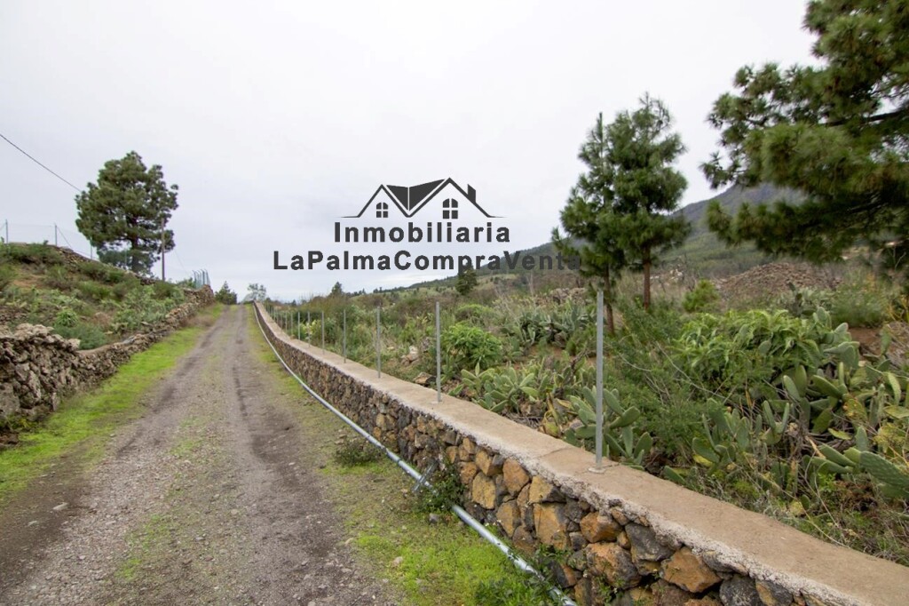 solar residencial en venta en paso, el santa cruz de tenerife foto grande (3)