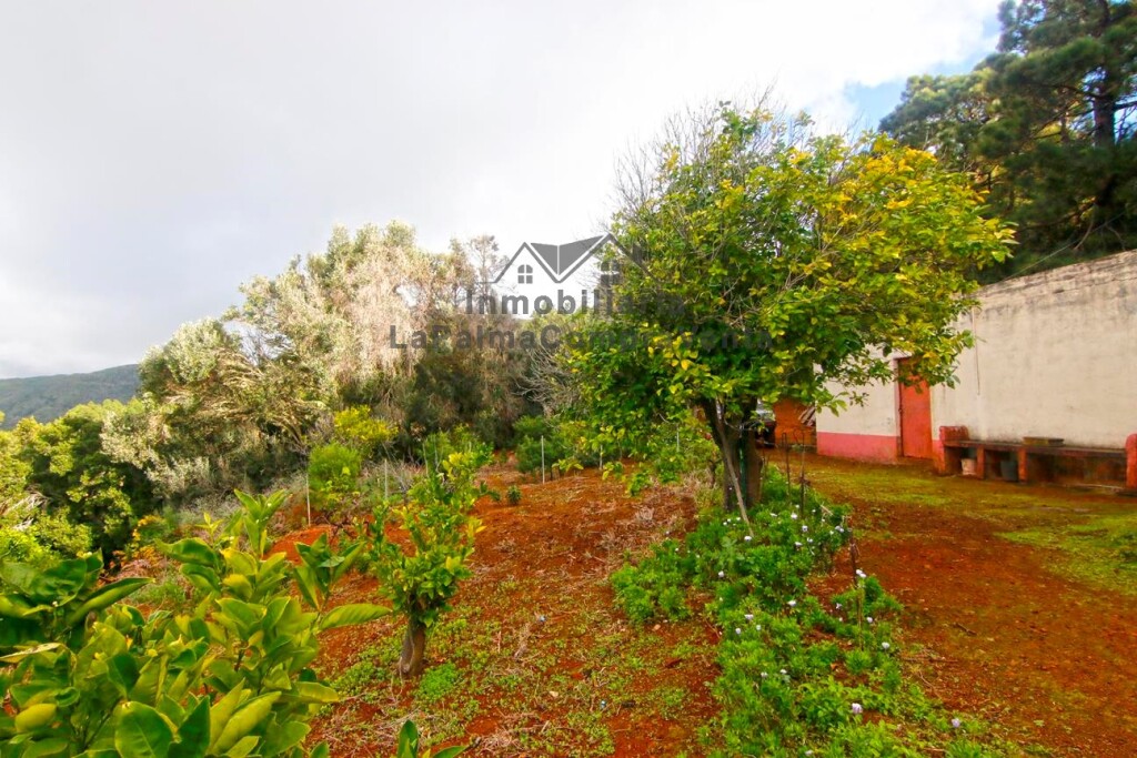 casa de campo-masía en venta en llano negro santa cruz de tenerife foto grande (3)
