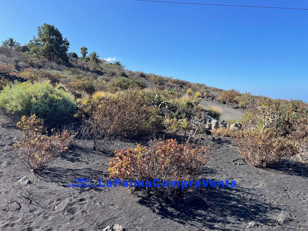 suelo rústico en venta en llanos de aridane, los santa cruz de tenerife foto grande (3)
