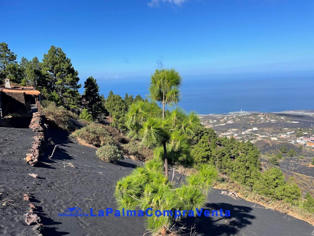 casa de pueblo en venta en paso, el santa cruz de tenerife foto grande (3)