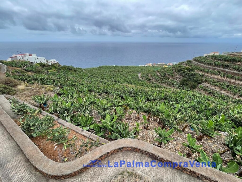 suelo rústico en venta en san andres y sauces santa cruz de tenerife foto grande (2)