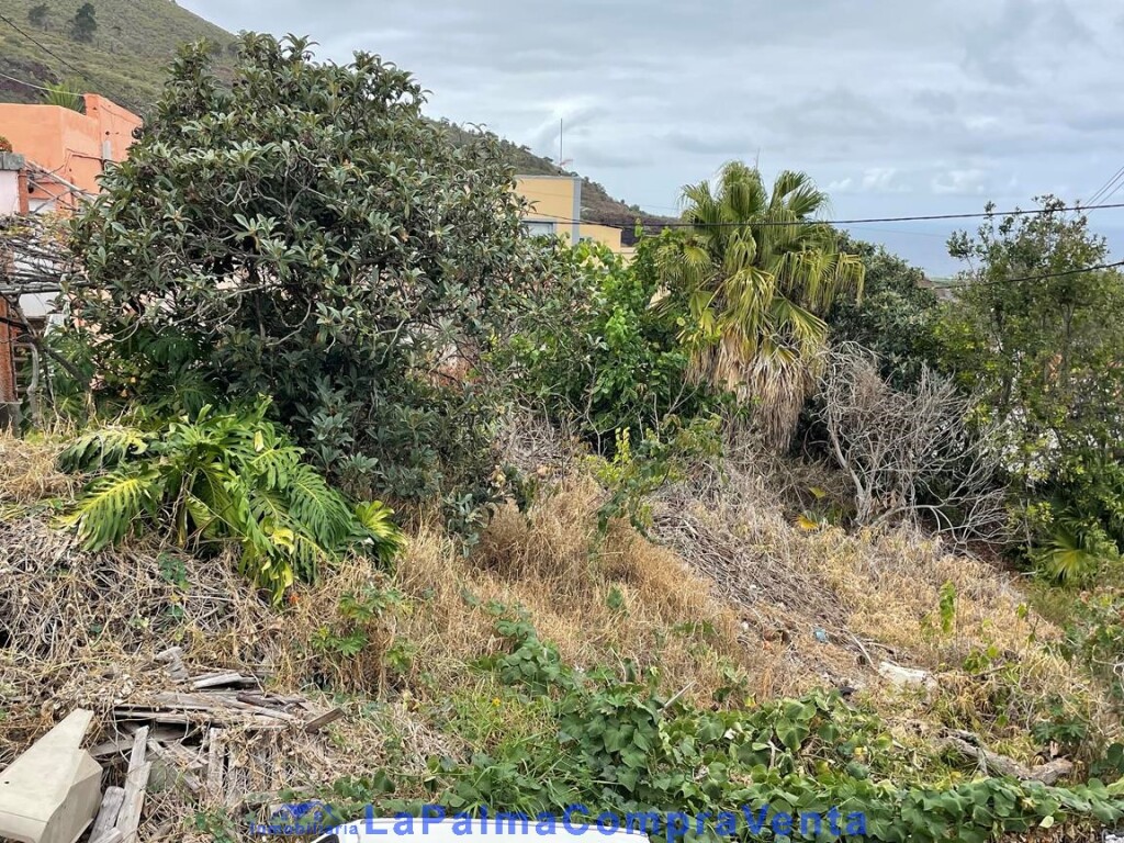 Foto solar urbano en venta en san andres y sauces santa cruz de tenerife
